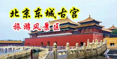 玩骚穴在线观看中国北京-东城古宫旅游风景区